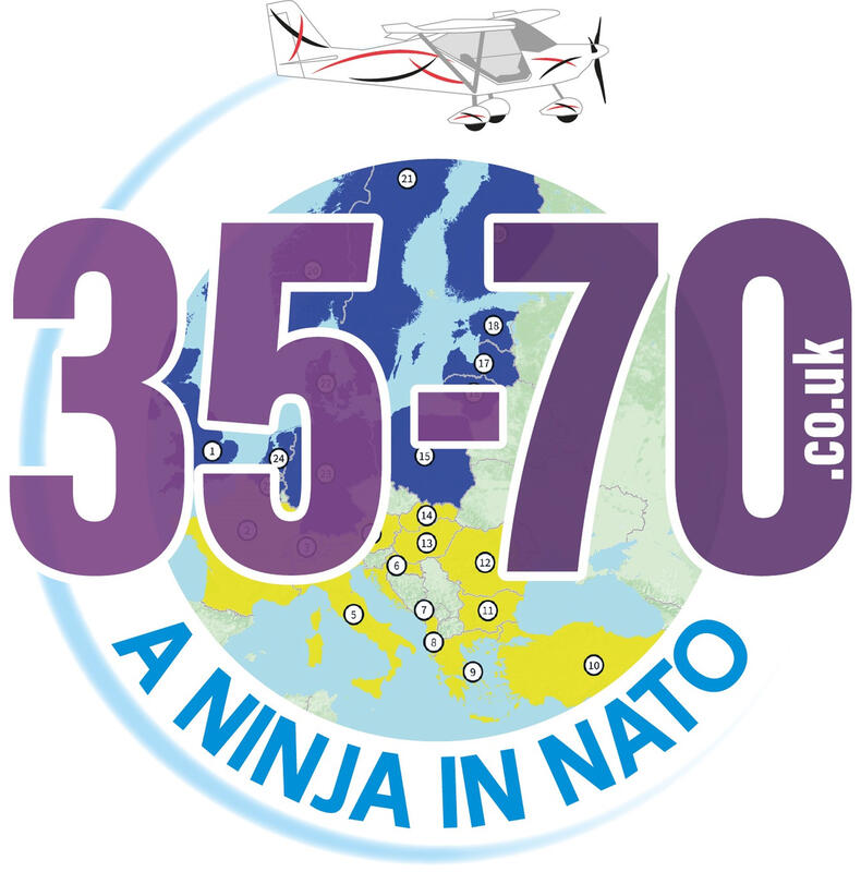 A Ninja in NATO logo